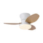 Ventilador de Techo LED RXFL8011 | 30W Luz + 30W Motor DC | 6 Velocidades | 3000K-6000K Ajustable | Blanco、Beige