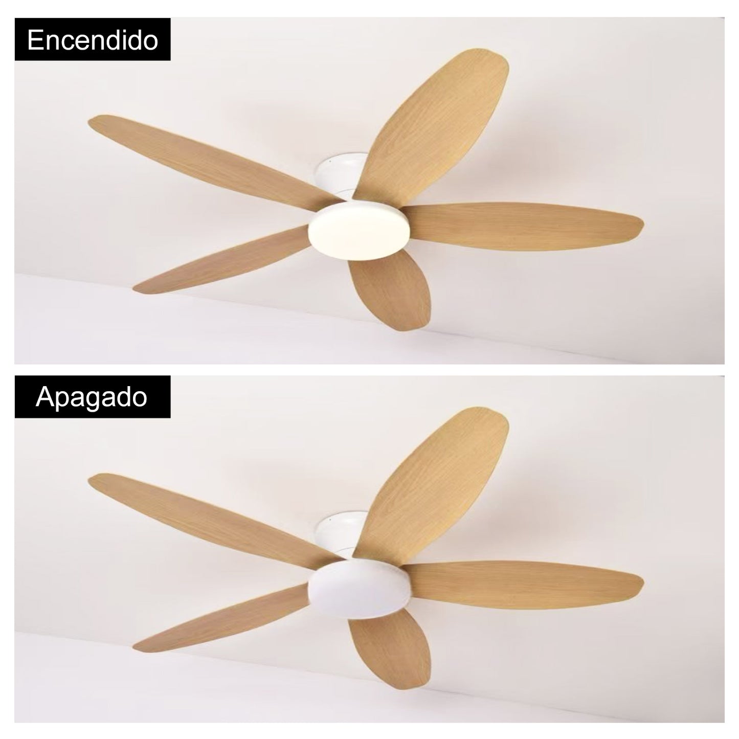 Ventilador de Techo LED Hola LED 42" – Luz Regulable 3000K-6000K, Blanco / Beige / Negro / Marrón, 85-265V