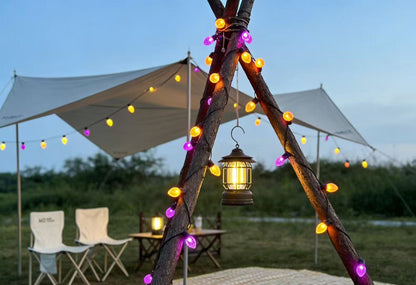 Guirnalda LED C9 con Decoración de Fresas 20M/100L, IP44, Control Remoto + App Bluetooth, 31V 12W, Ideal para Exterior - Holaled